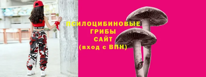 Галлюциногенные грибы мухоморы Ельня